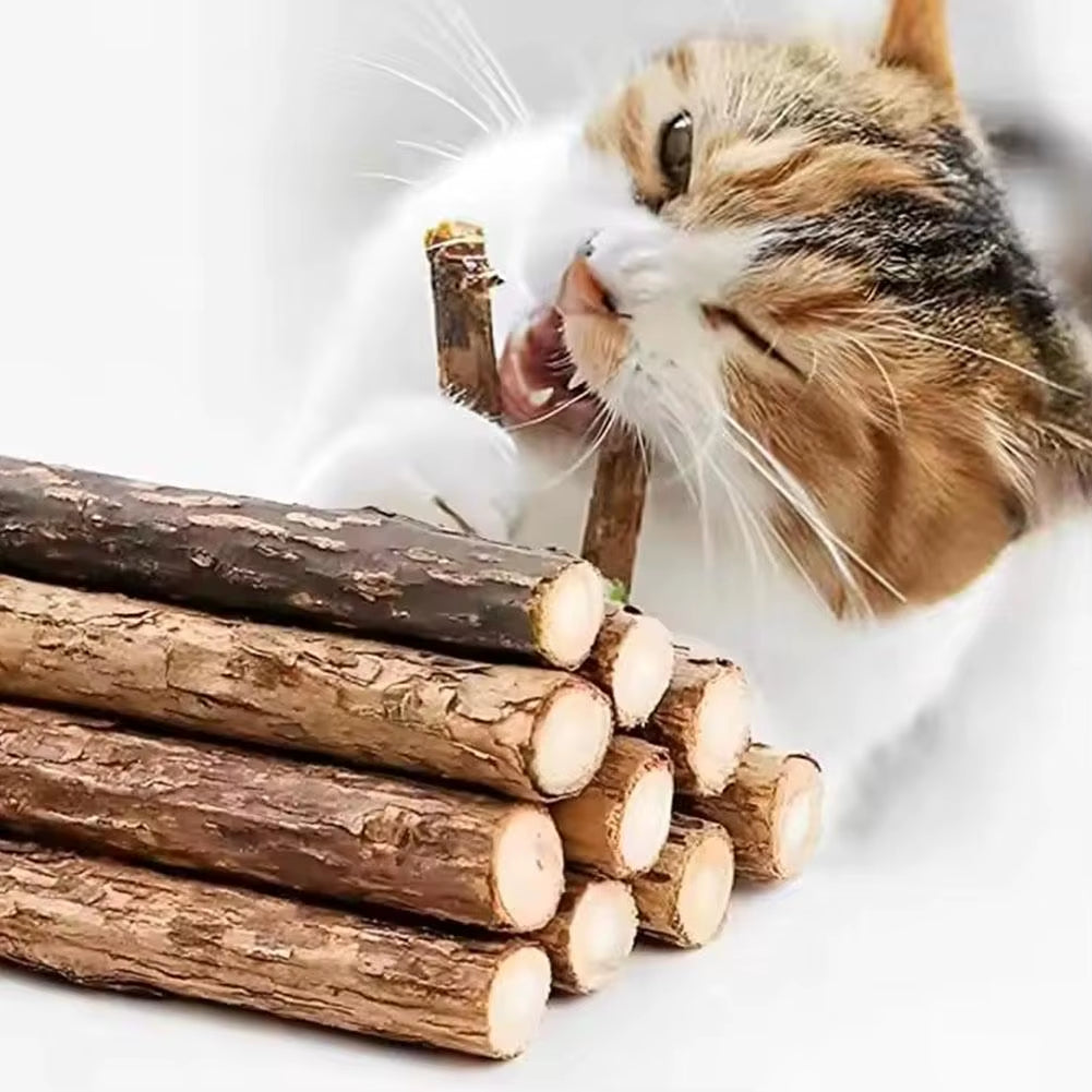 5-Pack Natural Catnip Dental Chew Sticks for Cats – Healthy Molar Cleaning Cat Toys & Treats