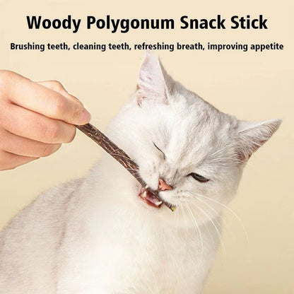 5-Pack Natural Catnip Dental Chew Sticks for Cats – Healthy Molar Cleaning Cat Toys & Treats