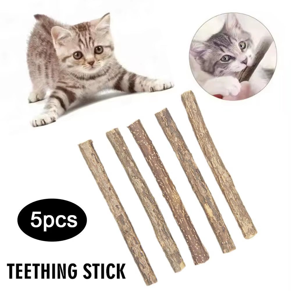 5-Pack Natural Catnip Dental Chew Sticks for Cats – Healthy Molar Cleaning Cat Toys & Treats