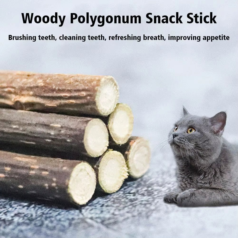 5-Pack Natural Catnip Dental Chew Sticks for Cats – Healthy Molar Cleaning Cat Toys & Treats